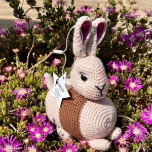 Cuddle the animal characters from the Book - BABY BUNNY